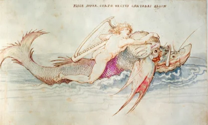 Arion Rescued by a Dolphin